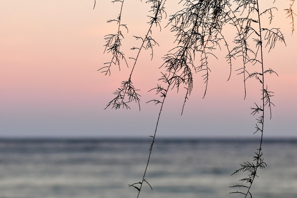 自己申请马来西亚留学流程中容易遗漏的节点